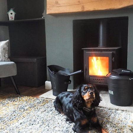 Large Cottage, Beach, Pubs Shops, Netflix, Bbq, Dog Friendly Ханманби Экстерьер фото
