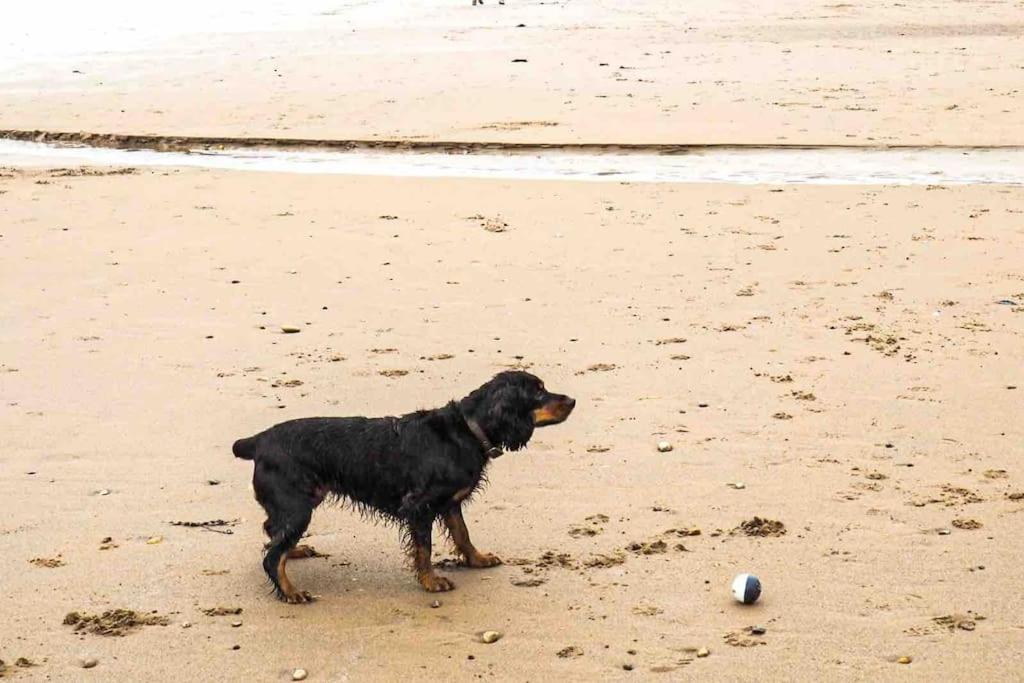 Large Cottage, Beach, Pubs Shops, Netflix, Bbq, Dog Friendly Ханманби Экстерьер фото